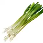 Spring Onion